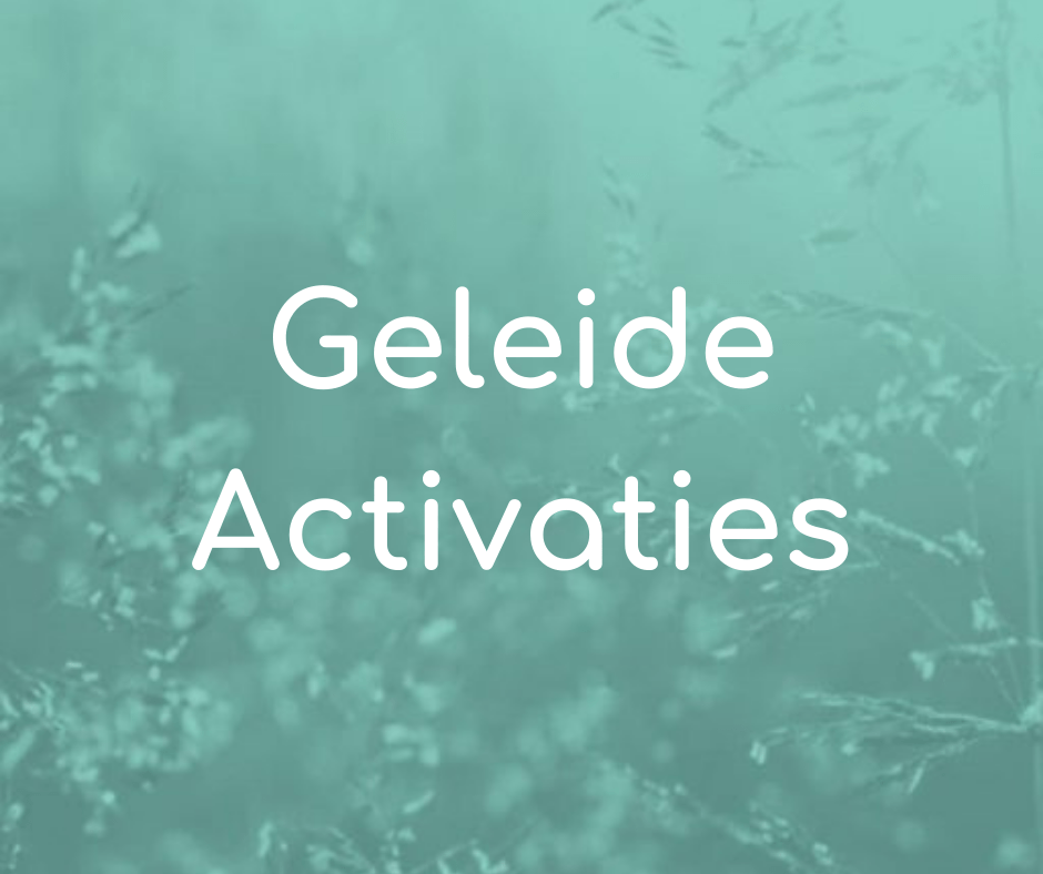 Geleide Activaties door Jacqueline Verhoef